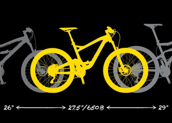 27.5